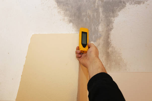 Best Indoor Air Quality Assessment  in Pleasant Ridge, MI