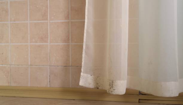 Best Dehumidification Services  in Pleasant Ridge, MI