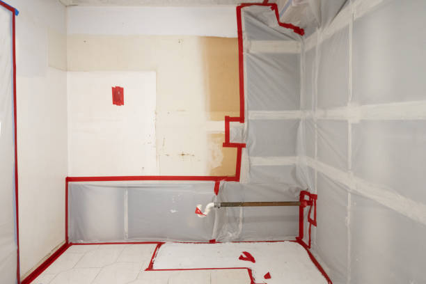 Best Crawl Space Mold Remediation  in Pleasant Ridge, MI