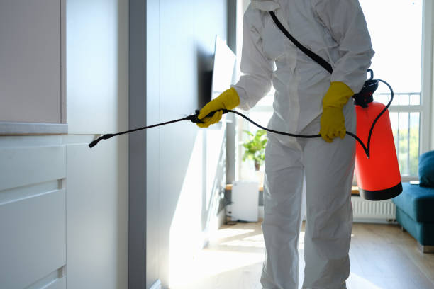 Best Comprehensive Air Testing for Mold Contaminants  in Pleasant Ridge, MI