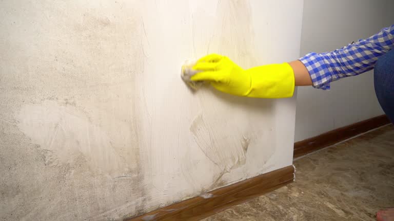 Best Post-Construction Mold Inspection  in Pleasant Ridge, MI