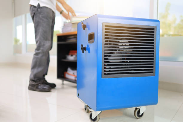 Best Residential Mold Inspection & Testing  in Pleasant Ridge, MI